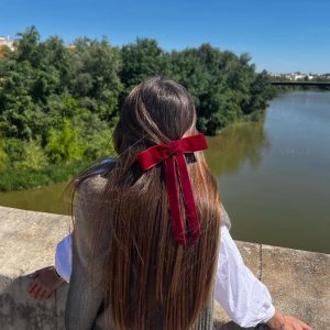 Accesorios para el pelo